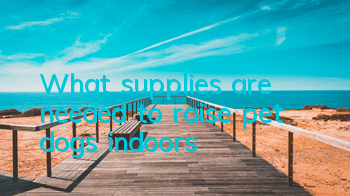 What supplies are needed to raise pet dogs indoors?