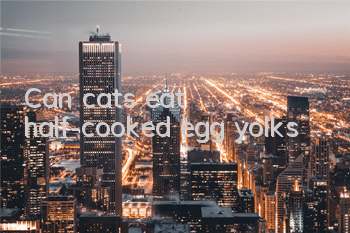 Can cats eat half-cooked egg yolks?