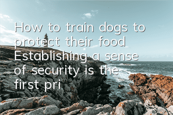 How to train dogs to protect their food? Establishing a sense of security is the first priority