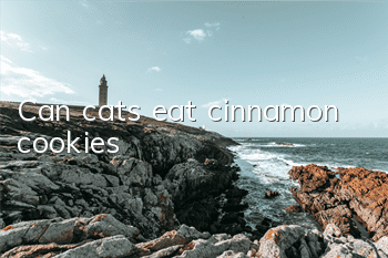 Can cats eat cinnamon cookies?