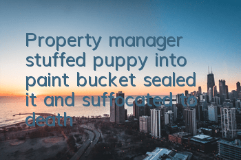 Property manager stuffed puppy into paint bucket, sealed it and suffocated to death