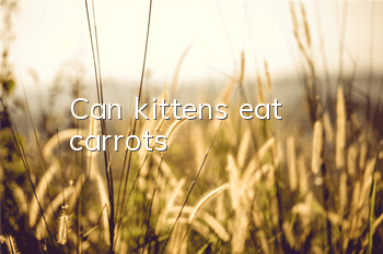 Can kittens eat carrots?