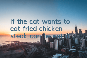 If the cat wants to eat fried chicken steak, can he eat it?
