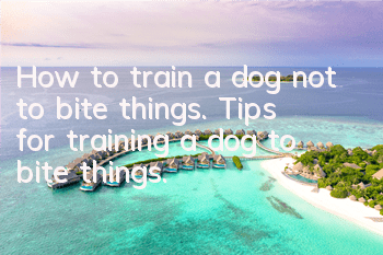 How to train a dog not to bite things. Tips for training a dog to bite things.
