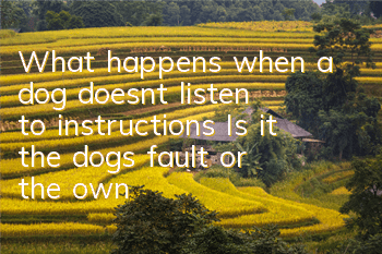 What happens when a dog doesn’t listen to instructions? Is it the dog’s fault or the owner’s fault?