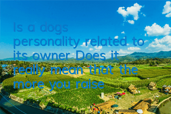 Is a dog’s personality related to its owner? Does it really mean that the more you raise a dog, the more it will follow its owner?