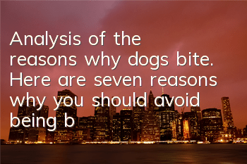 Analysis of the reasons why dogs bite. Here are seven reasons why you should avoid being bitten by dogs.