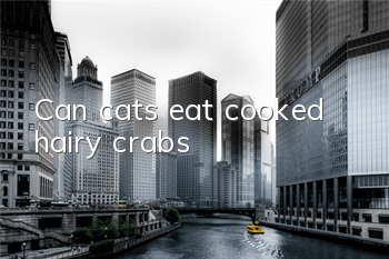 Can cats eat cooked hairy crabs?