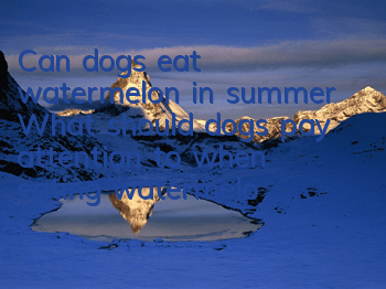 Can dogs eat watermelon in summer? What should dogs pay attention to when eating watermelon?