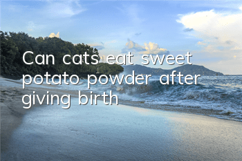 Can cats eat sweet potato powder after giving birth?