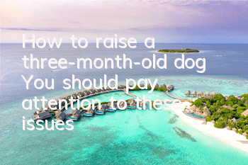 How to raise a three-month-old dog? You should pay attention to these issues