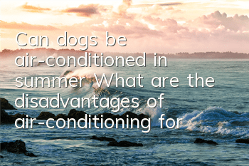 Can dogs be air-conditioned in summer? What are the disadvantages of air-conditioning for dogs?