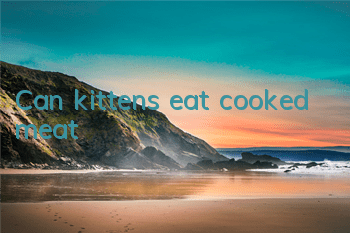 Can kittens eat cooked meat?