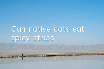 Can native cats eat spicy strips?