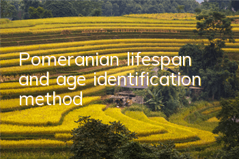 Pomeranian lifespan and age identification method