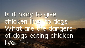 Is it okay to give chicken liver to dogs? What are the dangers of dogs eating chicken liver?
