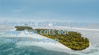 Can cats eat sour plum soup? Can cats eat sour plum soup?
