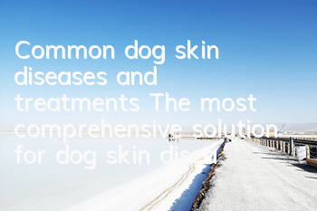 Common dog skin diseases and treatments The most comprehensive solution for dog skin diseases