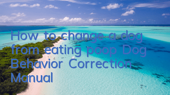 How to change a dog from eating poop Dog Behavior Correction Manual