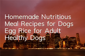Homemade Nutritious Meal Recipes for Dogs Egg Rice for Adult Healthy Dogs
