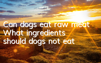 Can dogs eat raw meat? What ingredients should dogs not eat?