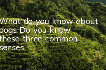 What do you know about dogs? Do you know these three common senses?