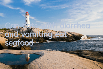 Can cats with diarrhea and vomiting eat seafood?