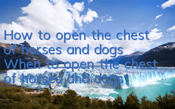 How to open the chest of horses and dogs When to open the chest of horses and dogs