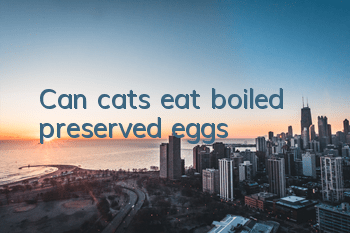 Can cats eat boiled preserved eggs?