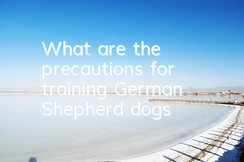 What are the precautions for training German Shepherd dogs?