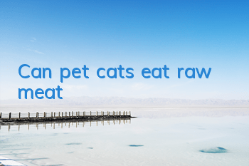Can pet cats eat raw meat?