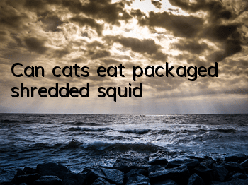 Can cats eat packaged shredded squid?