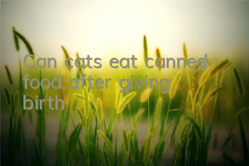 Can cats eat canned food after giving birth?