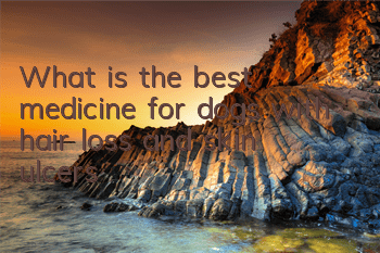 TWhat is the best medicine for dogs with hair loss and skin ulcers?