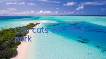 Can cats eat fried pork?