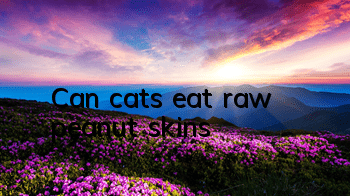 Can cats eat raw peanut skins?