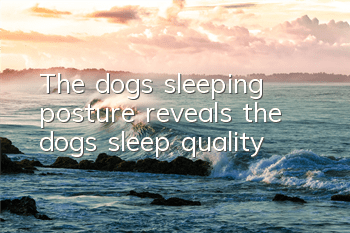 The dog’s sleeping posture reveals the dog’s sleep quality