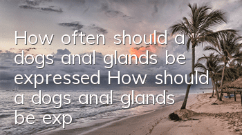 How often should a dog’s anal glands be expressed? How should a dog’s anal glands be expressed?