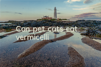 Can pet cats eat vermicelli?