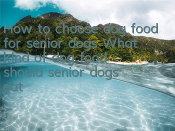 How to choose dog food for senior dogs? What kind of dog food should senior dogs eat?