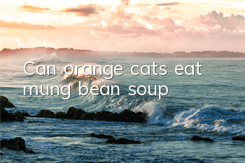 Can orange cats eat mung bean soup?