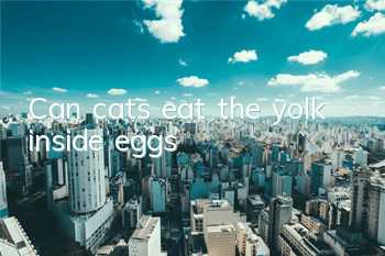 Can cats eat the yolk inside eggs?
