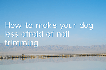 THow to make your dog less afraid of nail trimming