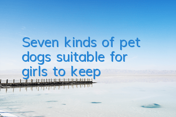 Seven kinds of pet dogs suitable for girls to keep