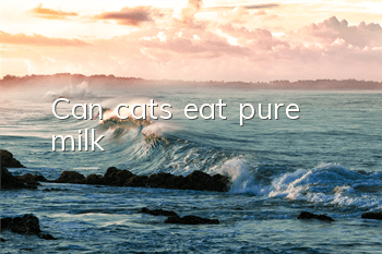 Can cats eat pure milk?