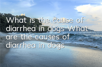 What is the cause of diarrhea in dogs? What are the causes of diarrhea in dogs?