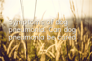 Symptoms of dog pneumonia. Can dog pneumonia be cured?