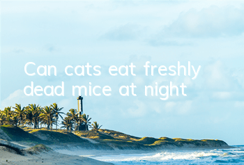Can cats eat freshly dead mice at night?