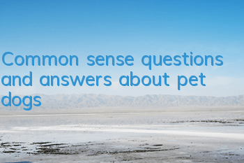 Common sense questions and answers about pet dogs