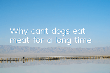 Why can’t dogs eat meat for a long time?